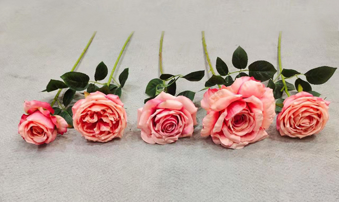 Home decor and wedding event decor use rose 